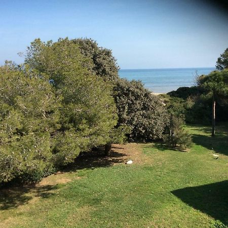 Entre Mer Et Piscine Hyères Zewnętrze zdjęcie