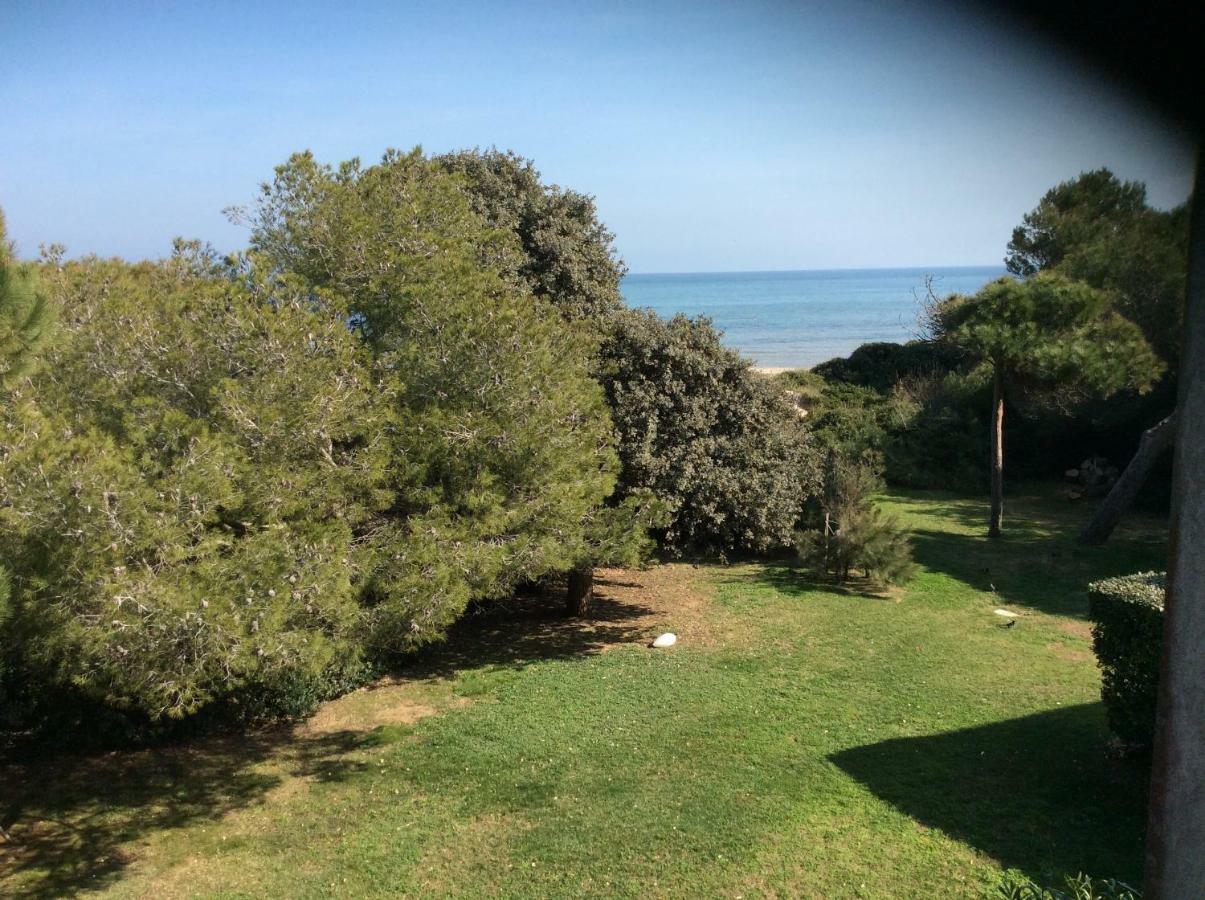 Entre Mer Et Piscine Hyères Zewnętrze zdjęcie