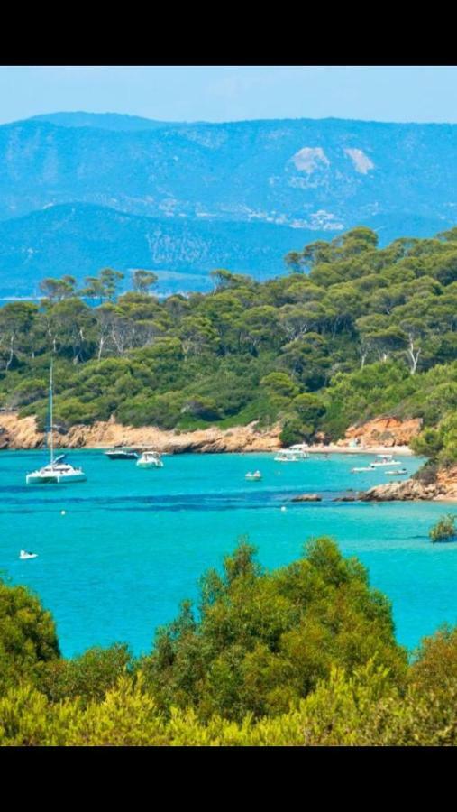 Entre Mer Et Piscine Hyères Zewnętrze zdjęcie